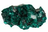 Gorgeous, Gemmy Dioptase Crystal Cluster - Congo #129545-1